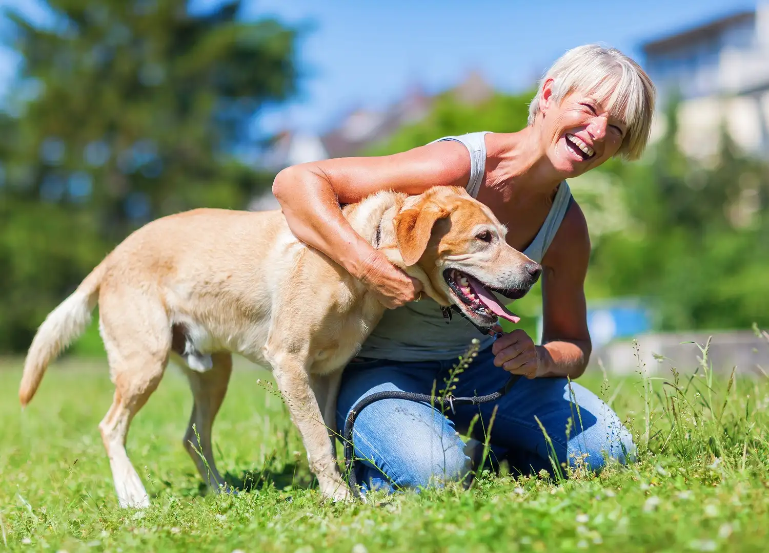 Pets & Animals
